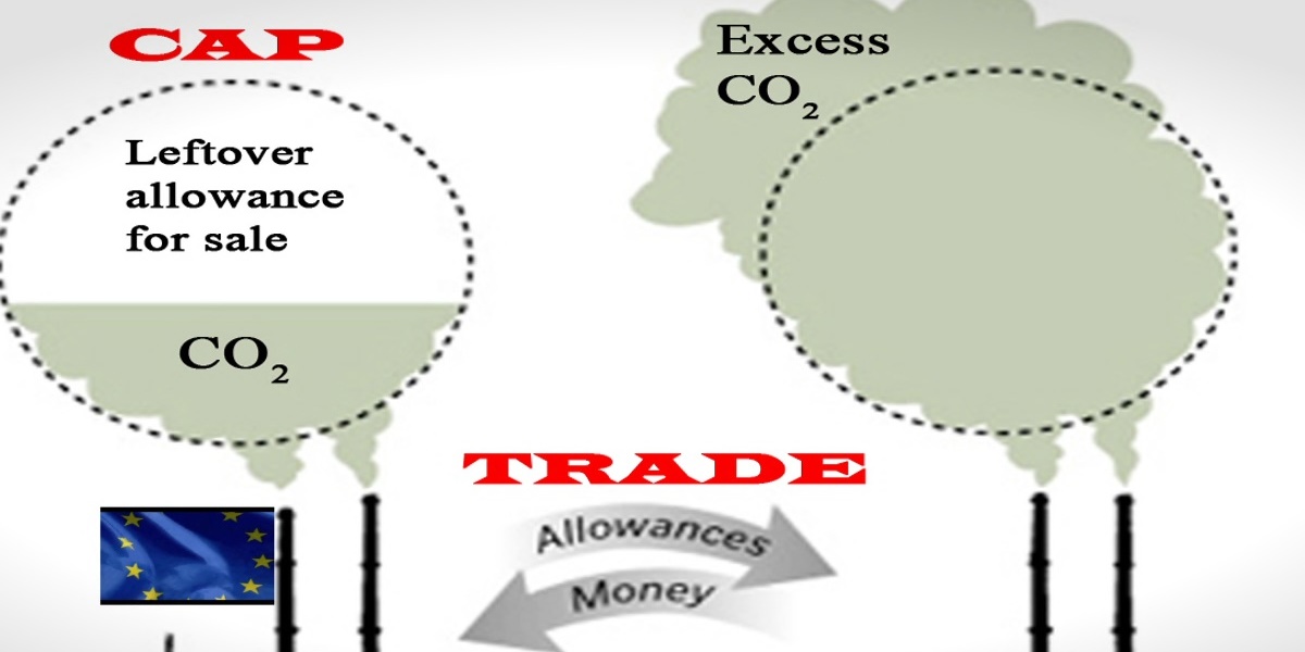 Carbon trading has been adopted as a means to reduce its footprint in the Energy Conservation Amendment Bill in the 